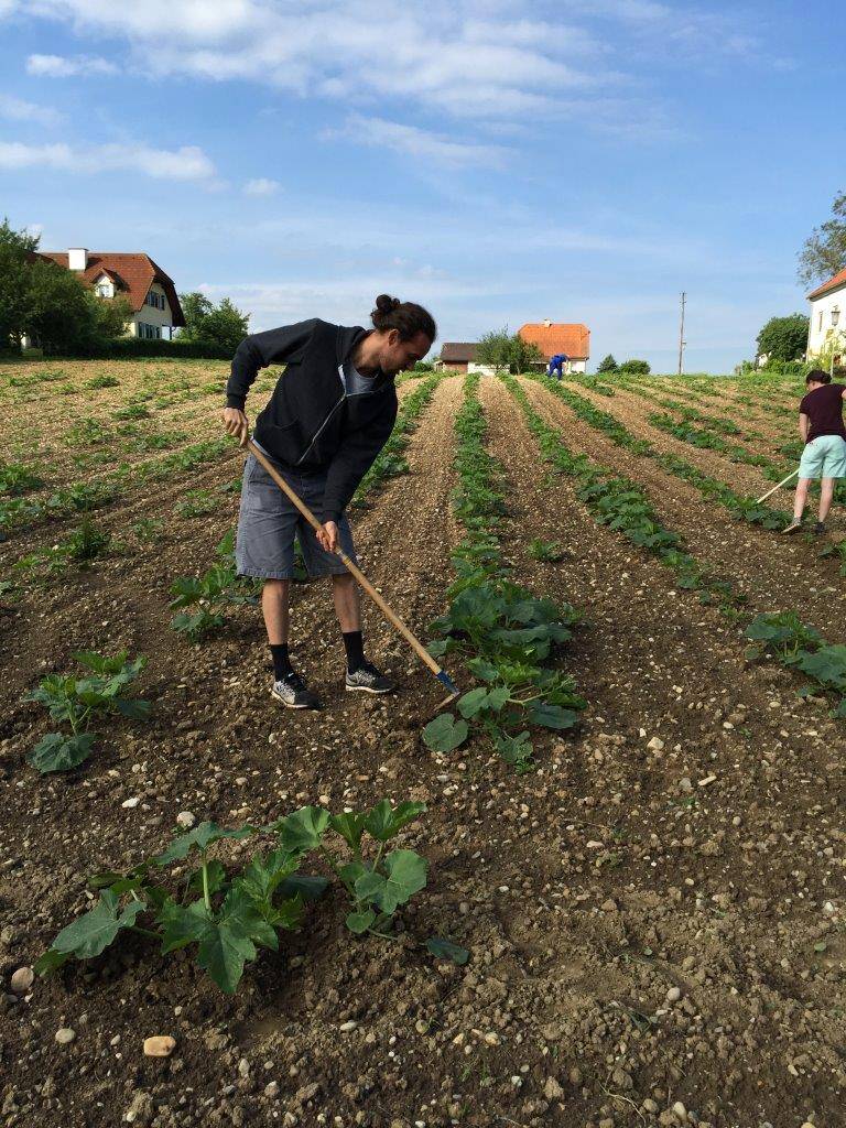 Graines de Courge bio aux 3 chocolats - Les accents du soleil