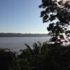 Noix d’Amazonie – Image 5